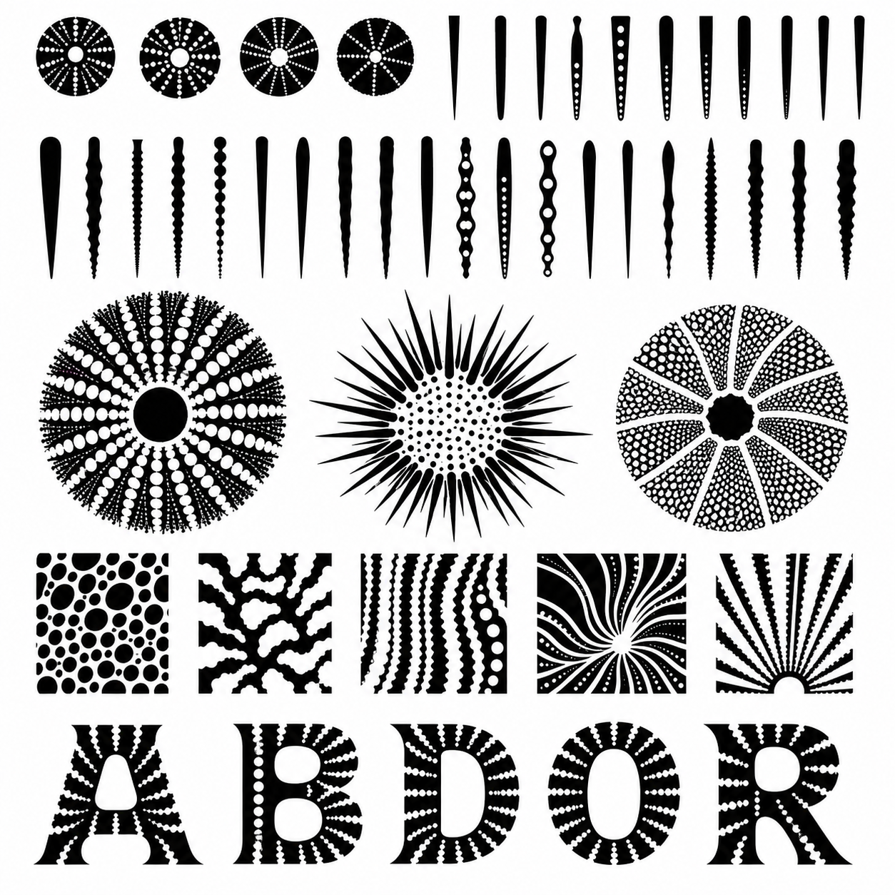 Planche inspiration noir et blanc Histocidaris sea urchin